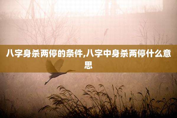 八字身杀两停的条件,八字中身杀两停什么意思