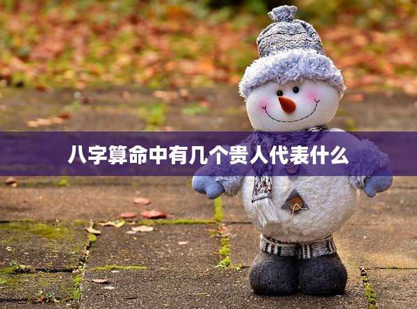 八字算命中有几个贵人代表什么