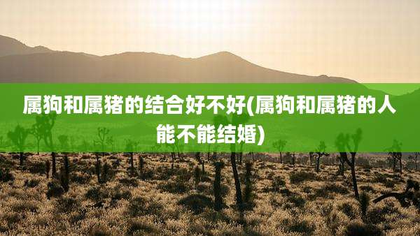 属狗和属猪的结合好不好(属狗和属猪的人能不能结婚)