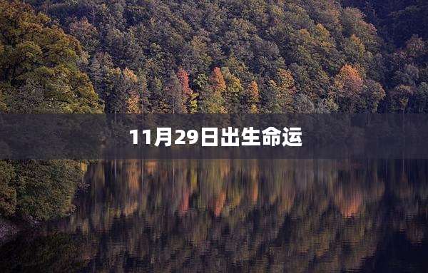 11月29日出生命运