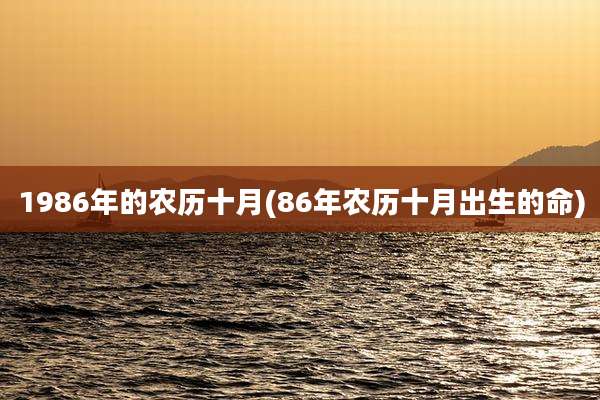 1986年的农历十月(86年农历十月出生的命)