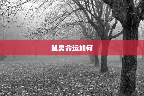 鼠男命运如何