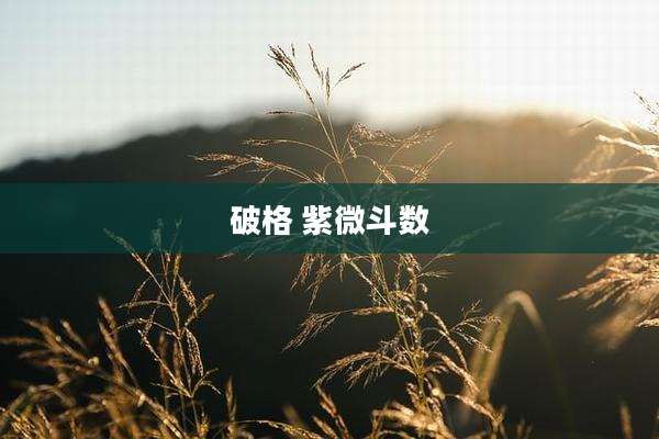 破格 紫微斗数