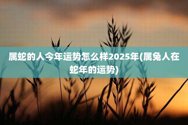 属蛇的人今年运势怎么样2025年(属兔人在蛇年的运势)