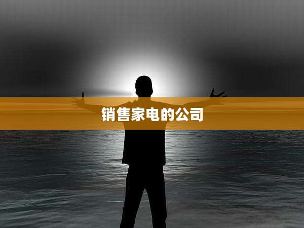 销售家电的公司
