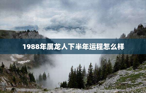 1988年属龙人下半年运程怎么样