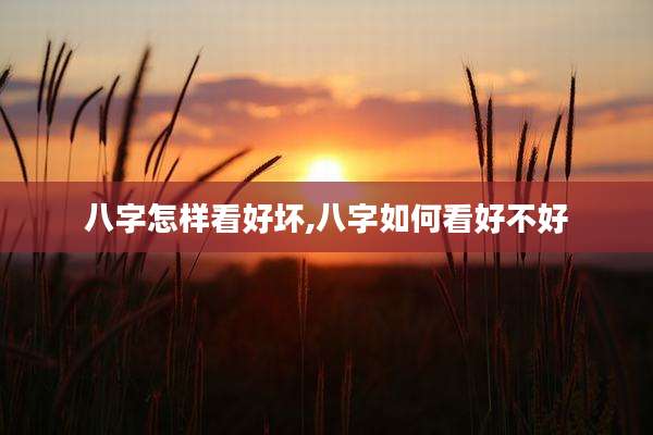八字怎样看好坏,八字如何看好不好