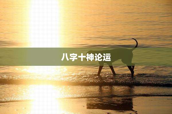 八字十神论运