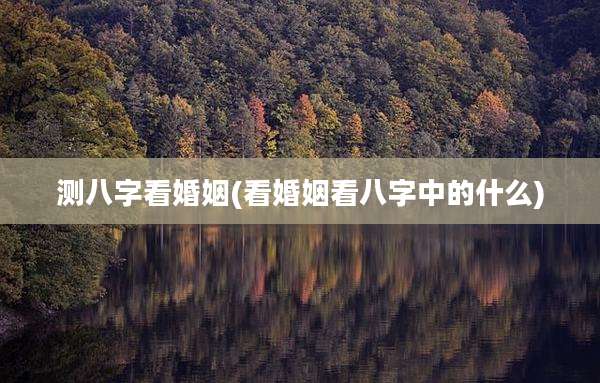 测八字看婚姻(看婚姻看八字中的什么)