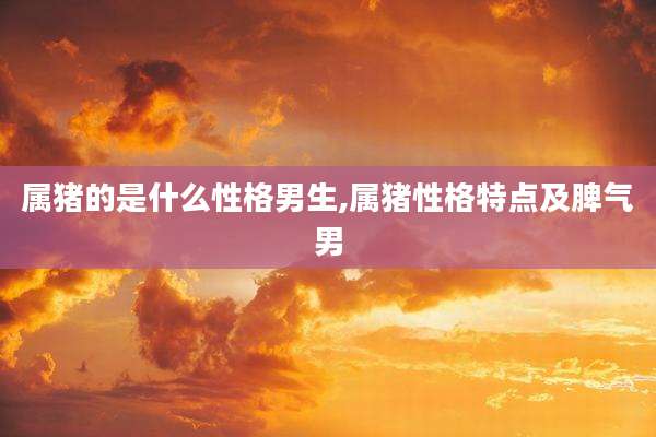 属猪的是什么性格男生,属猪性格特点及脾气男