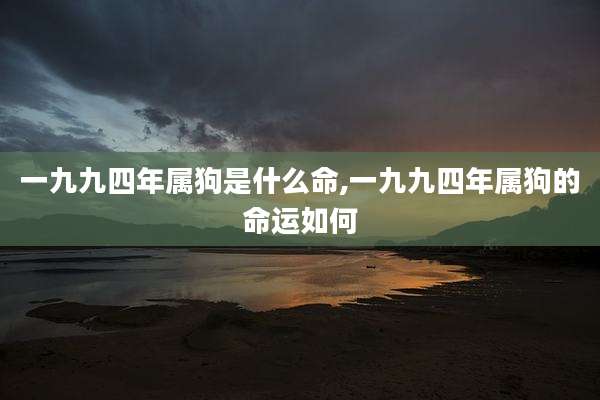 一九九四年属狗是什么命,一九九四年属狗的命运如何