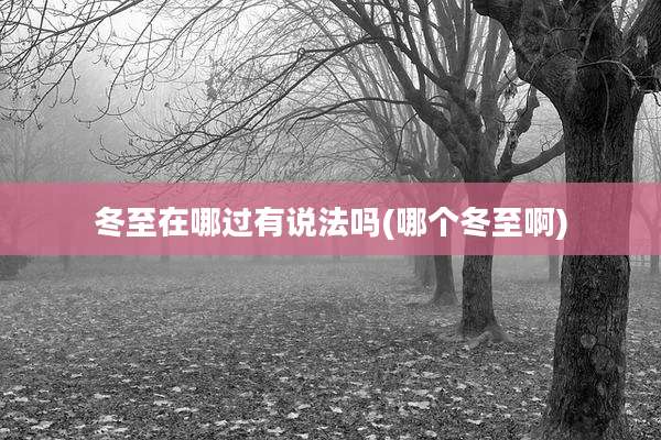 冬至在哪过有说法吗(哪个冬至啊)