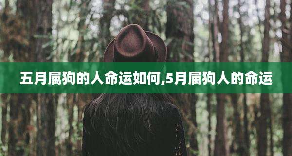 五月属狗的人命运如何,5月属狗人的命运