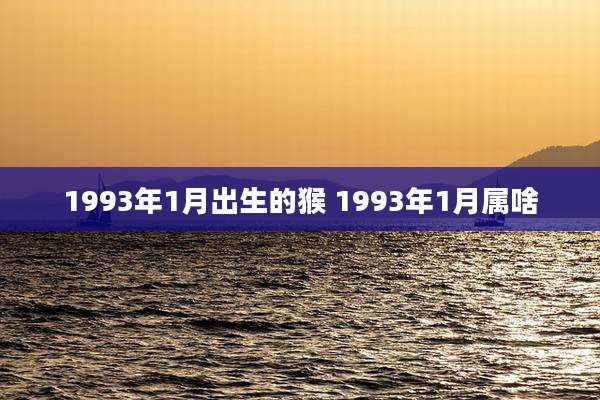 1993年1月出生的猴 1993年1月属啥