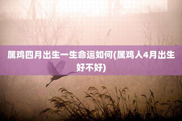 属鸡四月出生一生命运如何(属鸡人4月出生好不好)