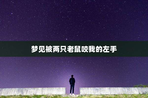 梦见被两只老鼠咬我的左手