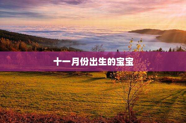 十一月份出生的宝宝