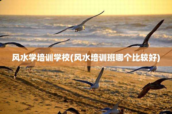 风水学培训学校(风水培训班哪个比较好)