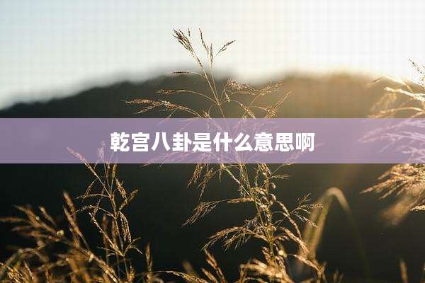 乾宫八卦是什么意思啊