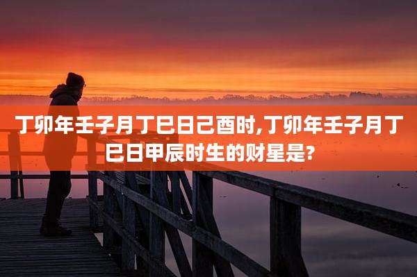 丁卯年壬子月丁巳日己酉时,丁卯年壬子月丁巳日甲辰时生的财星是?