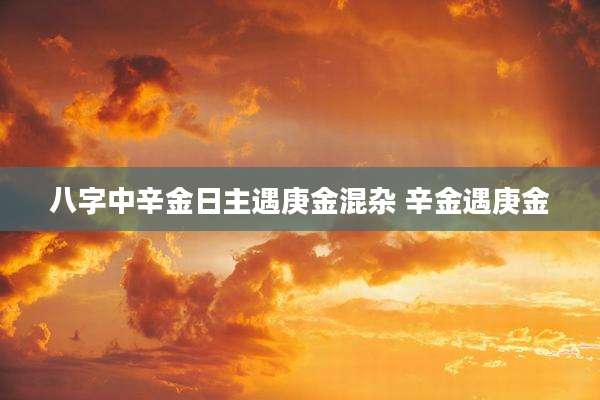 八字中辛金日主遇庚金混杂 辛金遇庚金