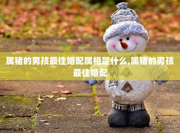 属猪的男孩最佳婚配属相是什么,属猪的男孩最佳婚配