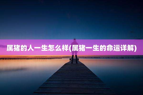 属猪的人一生怎么样(属猪一生的命运详解)