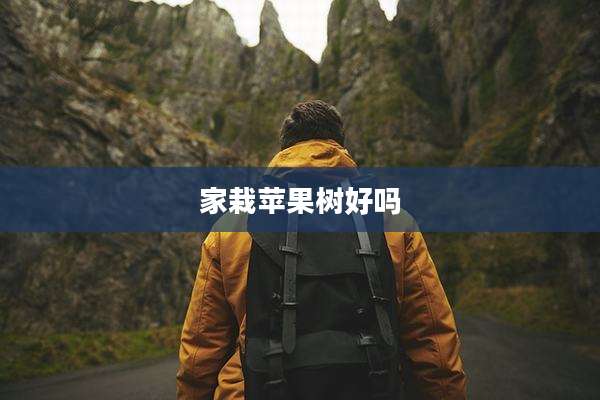 家栽苹果树好吗
