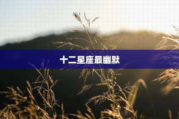 十二星座最幽默