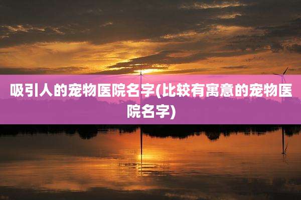 吸引人的宠物医院名字(比较有寓意的宠物医院名字)