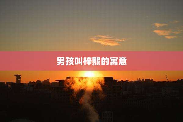 男孩叫梓熙的寓意