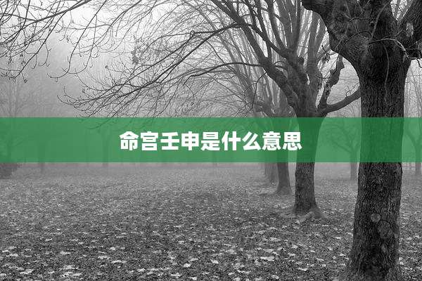 命宫壬申是什么意思