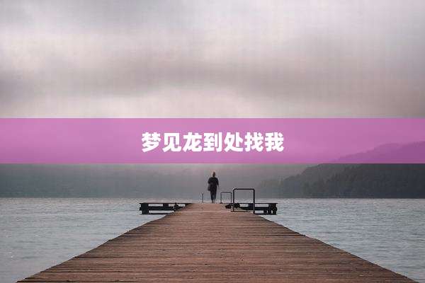 梦见龙到处找我