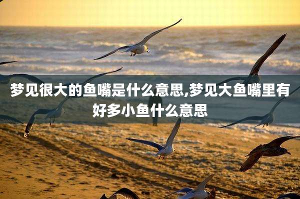 梦见很大的鱼嘴是什么意思,梦见大鱼嘴里有好多小鱼什么意思
