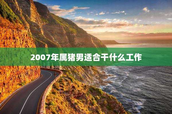 2007年属猪男适合干什么工作