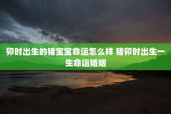 卯时出生的猪宝宝命运怎么样 猪卯时出生一生命运婚姻