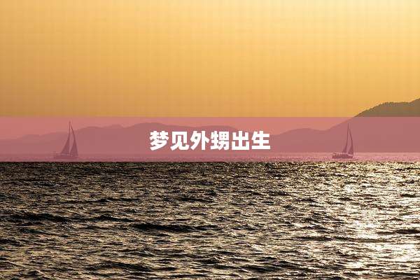 梦见外甥出生