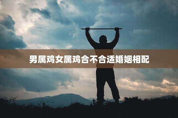 男属鸡女属鸡合不合适婚姻相配