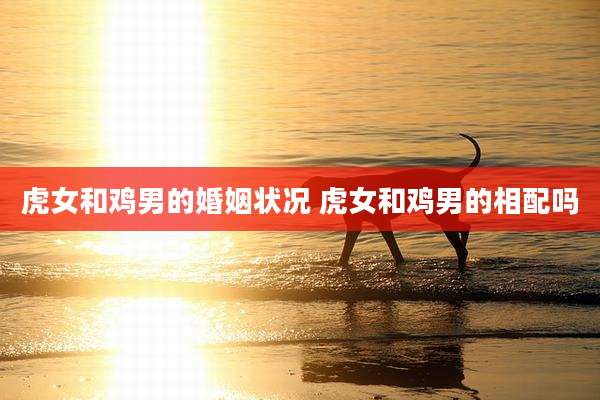 虎女和鸡男的婚姻状况 虎女和鸡男的相配吗