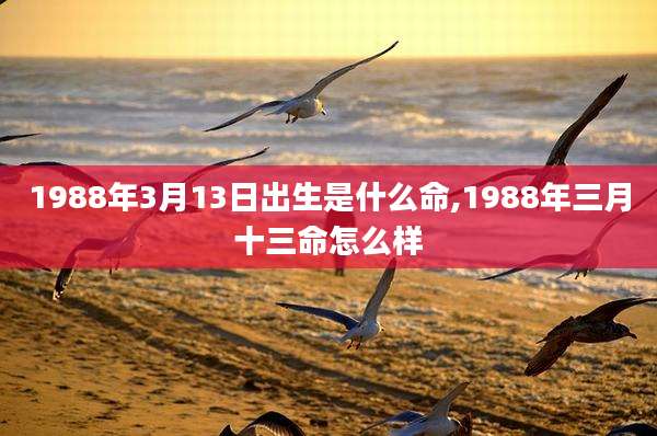 1988年3月13日出生是什么命,1988年三月十三命怎么样