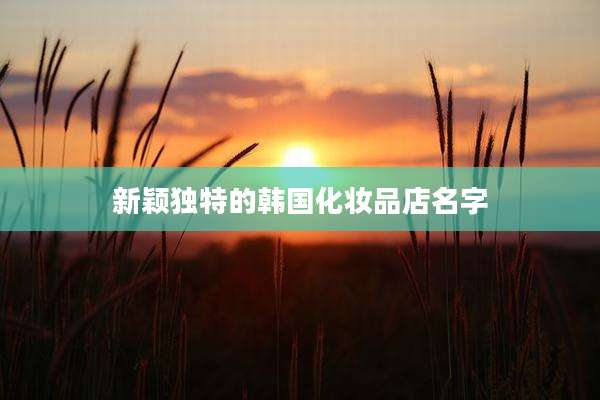 新颖独特的韩国化妆品店名字