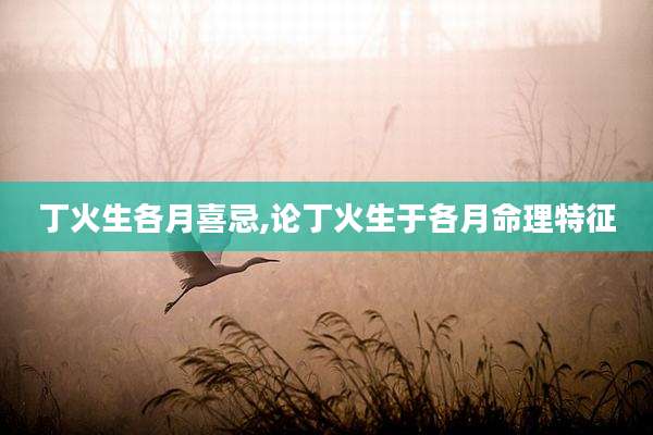 丁火生各月喜忌,论丁火生于各月命理特征
