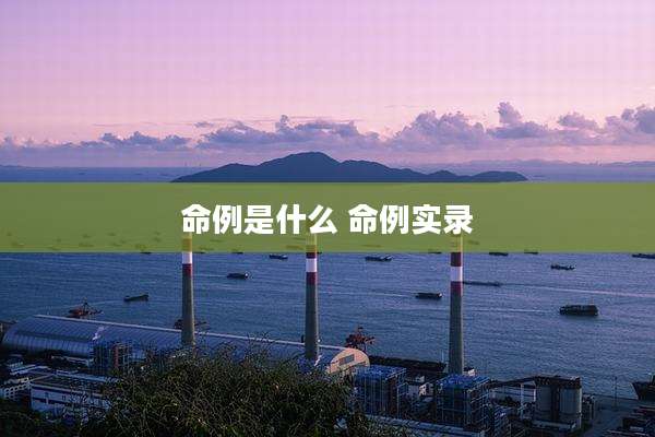 命例是什么 命例实录