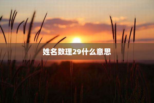 姓名数理29什么意思