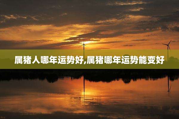 属猪人哪年运势好,属猪哪年运势能变好