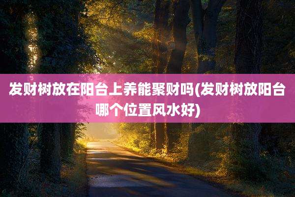 发财树放在阳台上养能聚财吗(发财树放阳台哪个位置风水好)