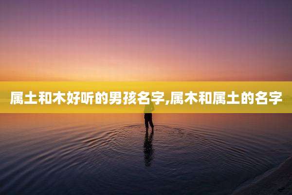 属土和木好听的男孩名字,属木和属土的名字
