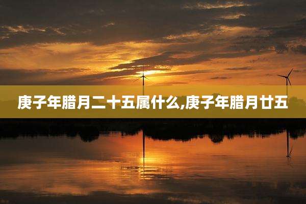 庚子年腊月二十五属什么,庚子年腊月廿五