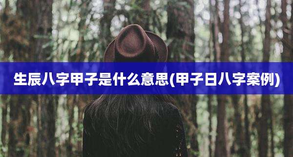 生辰八字甲子是什么意思(甲子日八字案例)