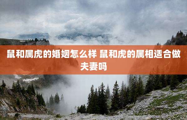 鼠和属虎的婚姻怎么样 鼠和虎的属相适合做夫妻吗